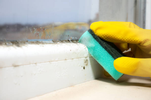 Best Mold Testing  in Oaklawn Sunview, KS